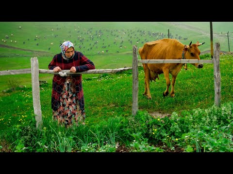 Видео: Кочевая мать и сыновья | Документальный фильм