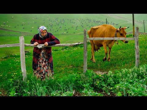 Видео: Яйладжи Мать и сыновья | Документальный фильм