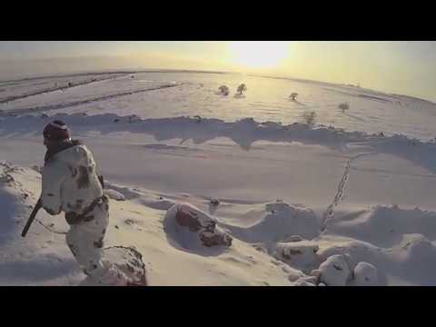Видео: Лучшие моменты с охоты на зайца сезон 2018-2019