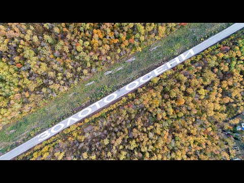 Видео: Коптер всем дарит золото! Осеннее. Самара и окрестности | Autumn. Samara in golden foliage. Aerials