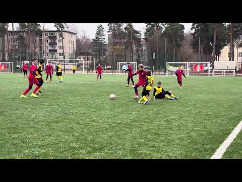 Видео: 13 ноября 2025 г.