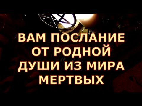 Видео: ВАМ ПОСЛАНИЕ С НЕБЕС ОТ РОДНОЙ ДУШИ ИЗ МИРА МЕРТВЫХ #tarot#shorts#gadanie#таросегодня