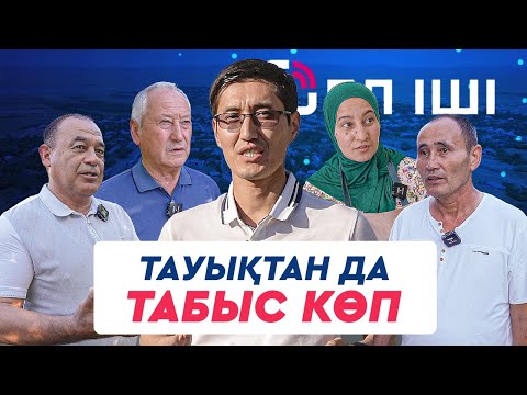 Видео: Тауықтан да табыс көп