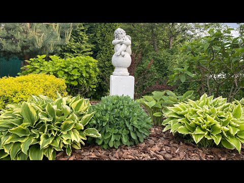 Видео: 🔥Мульчирую корой очень заросшую клумбу.🔥Новый эксперимент(начало)👍25.05.2023