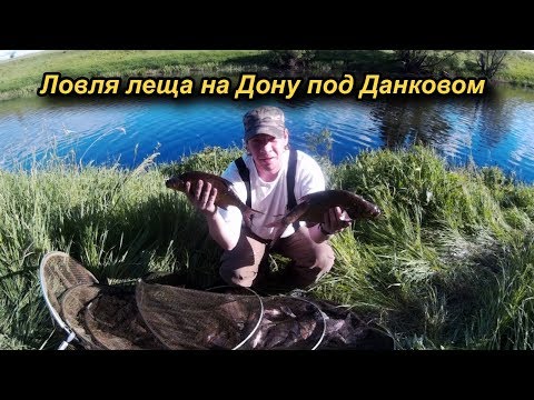 Видео: Ловля леща на Дону под Данковом