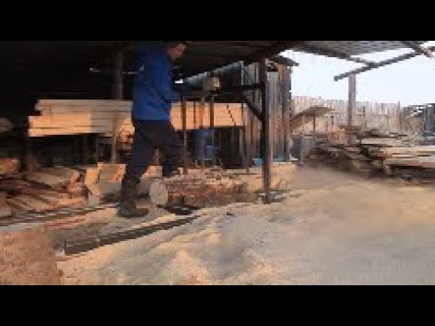 Видео: доработка шинной  пилорамы