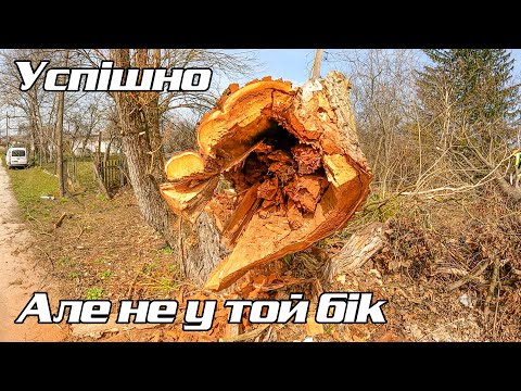 Видео: Обрізаємо дерева у Луці