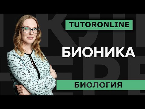 Видео: Бионика | История Эйфелевой башни и других изобретений.