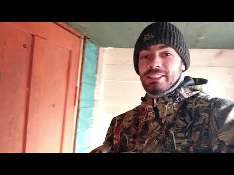 Видео: Восстановление заброшенной дачи. 1 серия ремонт летнего дома . утепляю обшиваю 