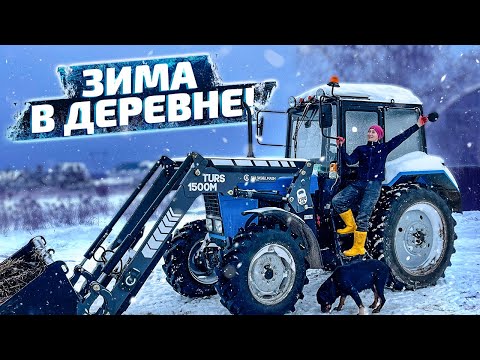 Видео: Мое утро в деревне! Как я справляюсь с огромным хозяйством? | Молодая Ферма