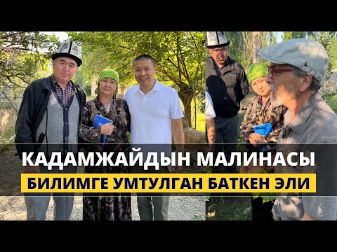 Видео: Кадамжай малинасынын абалы кандай?