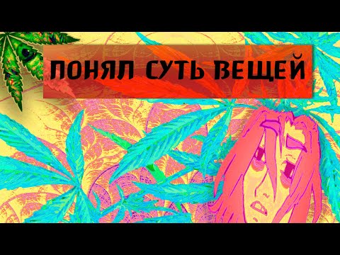 Видео: Откровения после стоических мухоморов