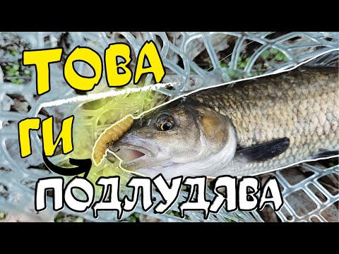 Видео: КАПРИЗНИ РИБИ И КАК ДА ГИ НАДХИТРИМ?!РИБОЛОВ на КЕФАЛИ със СИЛИКОНИ.