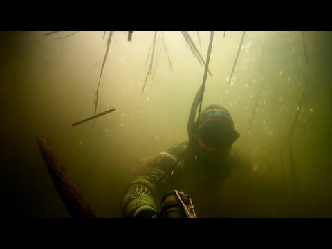 Видео: Сомовьи Шапки. Подводная Охота в Татарстане