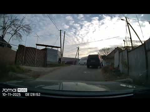 Видео: 10 ноября 2025 г.