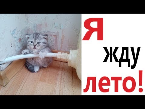Видео: Лютые приколы. Я ЖДУ ЛЕТО!!! Ржака до слёз! Самое смешное видео! – Domi Show!