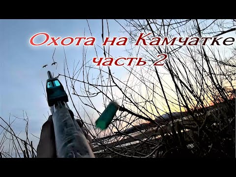 Видео: Часть 2.  Охота на Камчатке 2021! "Караулим гуся"
