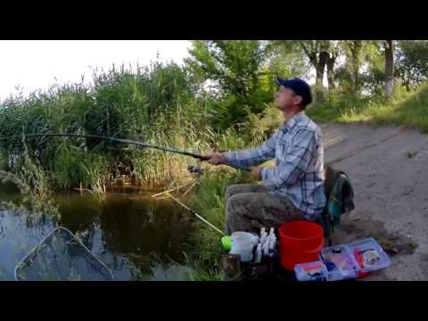 Видео: Рибалка в Бурштині. Ловля карася на Бурштинському водосховищі в с.Коростовичі.