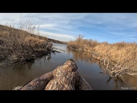 Видео: ВОТ ЭТО ДА, Я НЕ ОЖИДАЛ ЧТО В ЭТОЙ РЕКЕ СТОЛЬКО РЫБЫ. ПОЛНАЯ СЕТЬ НА КАЖДОМ ЗАБРОСЕ. ЗАКРЫТИЕ СЕЗОНА