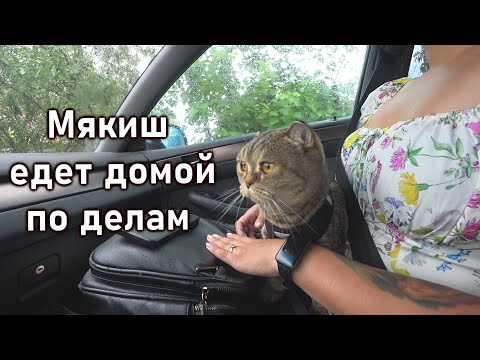 Видео: Дачный ответ.Много денег уходит на дачу