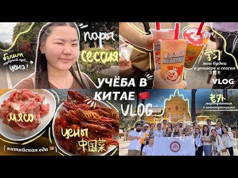 Видео: 🇨🇳VLOG: ЖИВУ и УчУсь ОДНА В КИТАЕ | учёба, экзамены , проблемы с ЗуБом