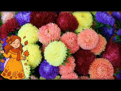 Видео: Ознайомлення з природою "Осінні квіти"
