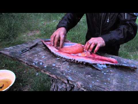 Видео: река ОСЬЯ, приток реки ВАГИЛЬ