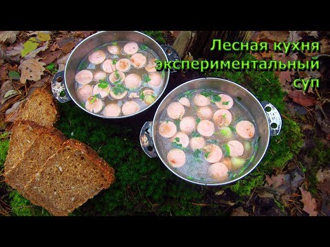 Видео: ЛЕСНАЯ КУХНЯ \ Экспериментальный Суп