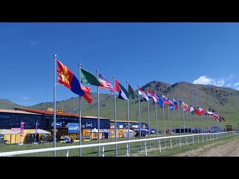 Видео: Мас рестлинг. Чемпионат мира. Монголия