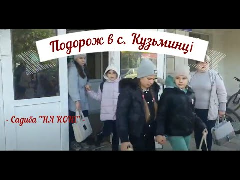 Видео: Осінні пригоди 5-В класу