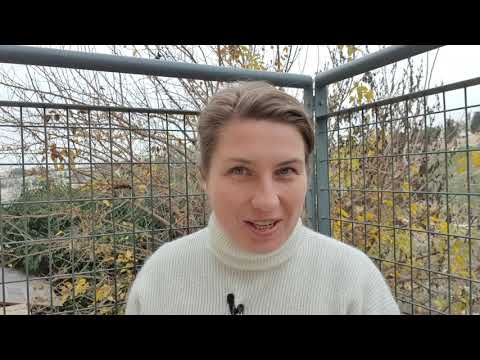 Видео: ЗА КОГО ПОЧИТАЮТ МЕНЯ ЛЮДИ? Лк. 9:18-27.
