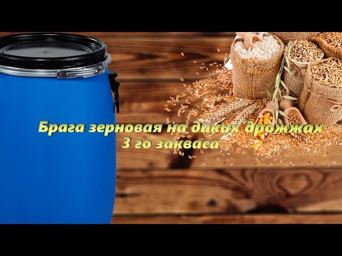 Видео: Брага зерновая на диких дрожжах 3 го закваса. Подробный рецепт браги