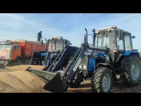 Видео: ТURS-1500 и TURS-1500м.Погрузка зерна.