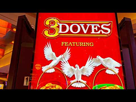 Видео: У меня сегодня так много планов