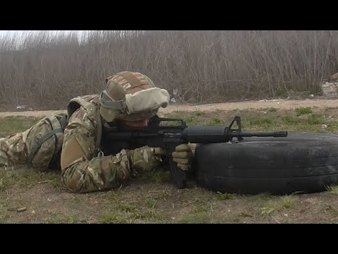 Видео: Честный обзор карабина NORINCO CQ-A 5.56