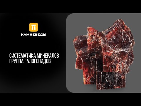 Видео: Систематика минералов. Группа Галогенидов