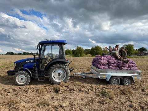 Видео: Копаємо картоплю, дворядна картоплекопалка Agromed Z609 і трактор Lovol504 / Ловол504