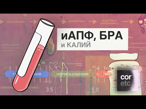 Видео: Почему иАПФ и БРА (сартаны) повышают уровень калия крови?