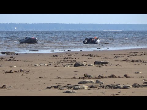 Видео: Поиск монет на острове