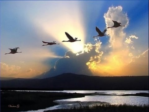 Видео: Igor Korg "Годы летят"  . Авторская .  KORG PA900