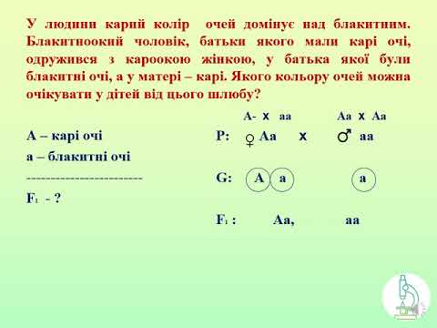 Видео: Задачі на моногібридне схрещування ІІ частина