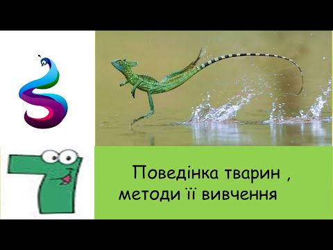 Видео: Поведінка тварин , методи її вивчення