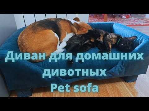 Видео: Диван для домашних животных // Pet sofa