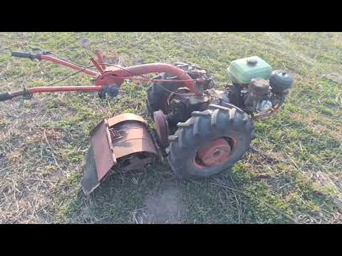 Видео: Мотоблок мтз с интересной фрезой - работаем по целине, готовим землю под ягодник. 9л.с. gruberg 
