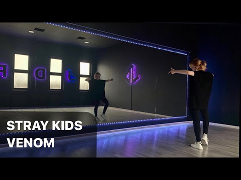 Видео: Stray Kids - Venom Dance Tutorial Русский Туториал