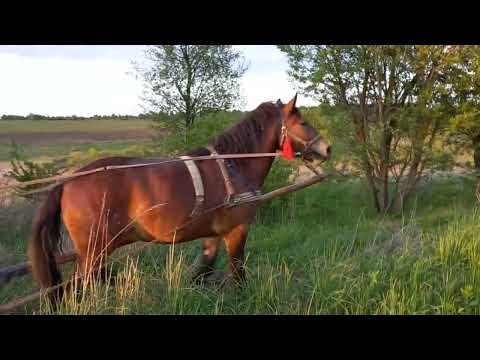 Видео: Хмара вчиться самостійно працювати.