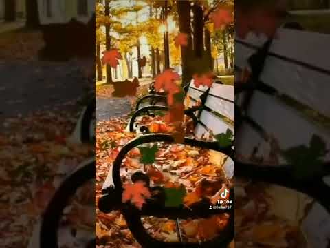 Видео: 28ч фф " Я буду любить тебя, даже если ты будешь против..."