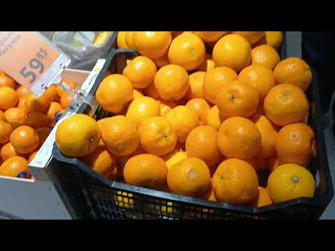 Видео: 14 ноября 2025 г.