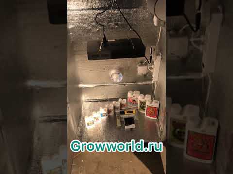 Видео: SUPER SILENT ГРОУБОКС В120(150)хШ80xГ60см LED 300w