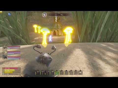 Видео: Smalland Survive The Wilds | Как пройти Запретные земли с комфортом!